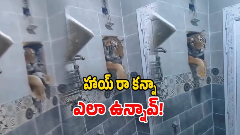 Viral Video (Image Source: Insta Video)
