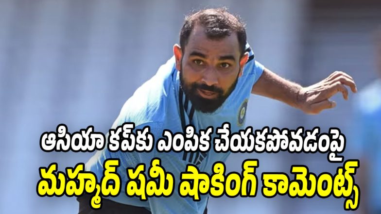 Mohammed shami