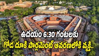 Parliament security breach