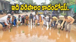 Roads Damage