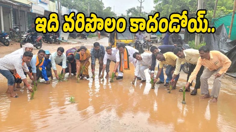 Roads Damage