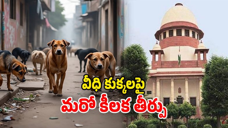 SC On Stray Dogs (Image Source: Twitter)