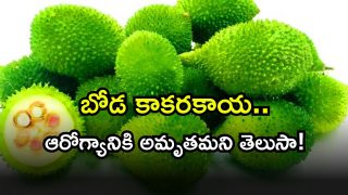 Spiny Gourd Benefits (Image Source: Twitter)