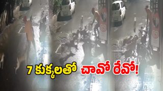 Viral Video (Image Source: Twitter)
