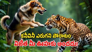 Stray Dog vs Leopard (Image Source: AI)
