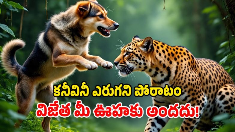 Stray Dog vs Leopard (Image Source: AI)