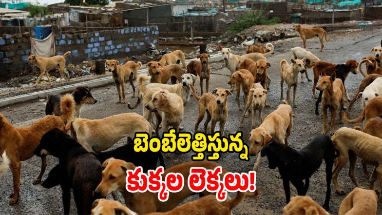 Highest Stray Dogs State (Image Source: Twitter)