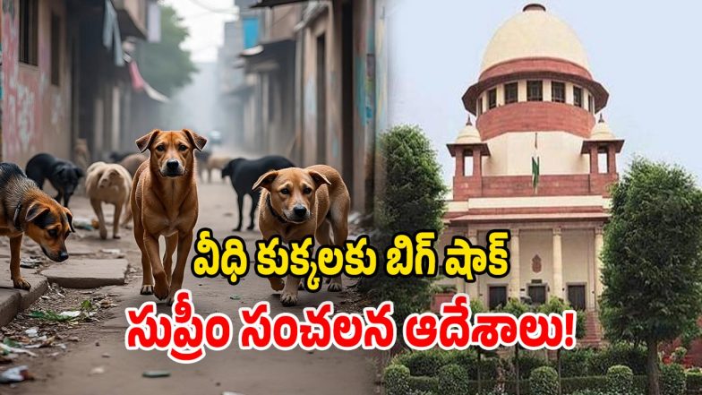 SC on Delhi-NCR (Image Source: Twitter)