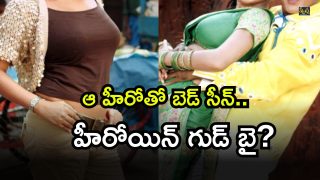 Telugu Heroine ( Image Source: Twitter)