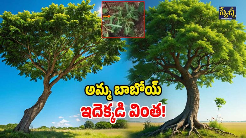 Jangaon Strange Incident (Image Source: AI)