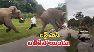 Viral Video (Image Source: Twitter)