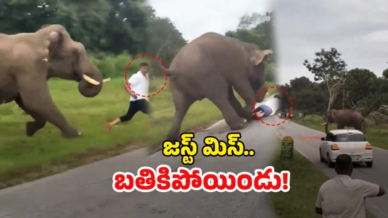 Viral Video (Image Source: Twitter)
