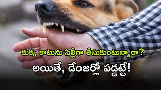 dog ( Image Source: Twitter)