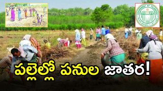 Panula Jathara 2025:( image credit; TWITTER)