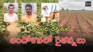 Gadwal News (imagecredit:swetcha)