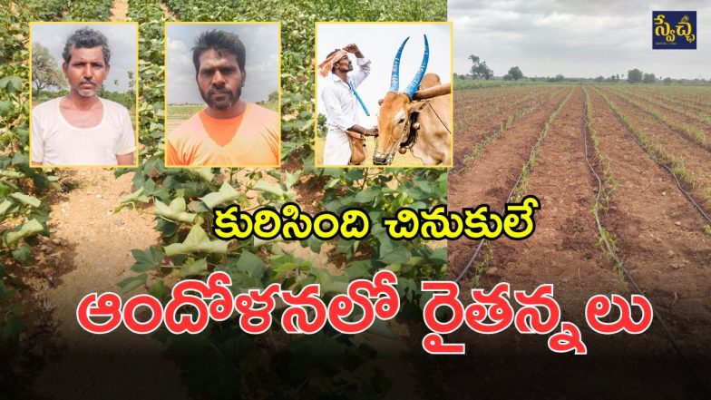 Gadwal News (imagecredit:swetcha)