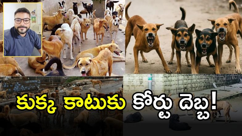 Stray Dogs ( IMAGE credit: Twitter or swetcha reporter)