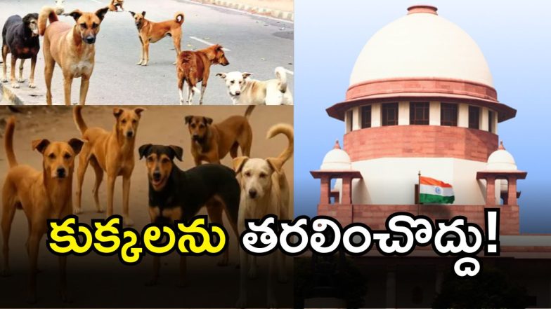 Sc on Stray Dogs( iMAGE credit: twitter)