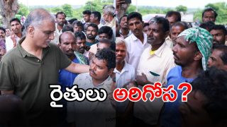 Harish Rao (imagecredit:swetcha)