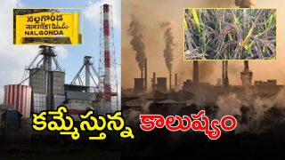 Nalgonda district (imagecrdit:twitter)