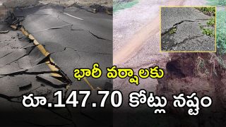 Roads Damage (imagecredit:twitter)