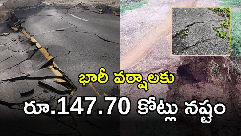 Roads Damage (imagecredit:twitter)