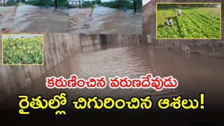 Jogulamba Gadwal( image credit: swetcha reporter)