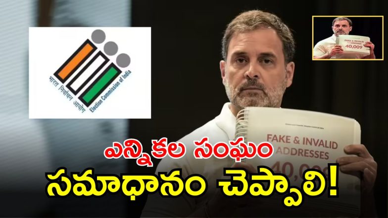 Rahul Gandhi (IMAGE credit: swetcha reporter)