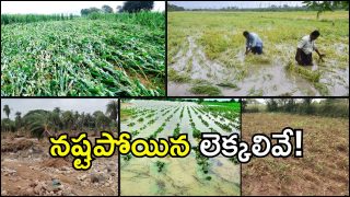 Crops Damage Report (imagecredit:twitter)