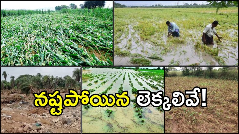 Crops Damage Report (imagecredit:twitter)