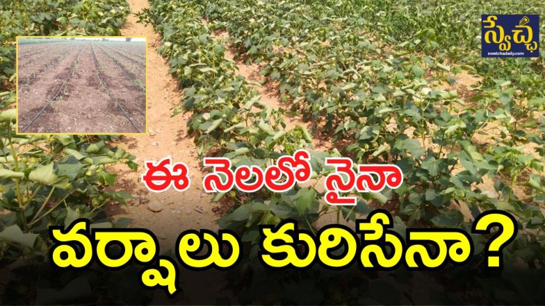 Gadwal district (IMAGE CREDIT; swetcha reporter)