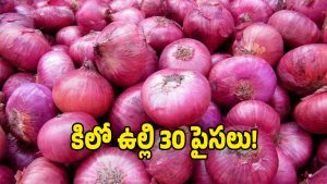 AP Onion Farmers (Image Source: twitter)