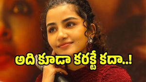 anupama-parameswaran( image:X)