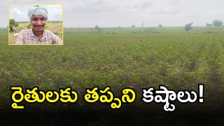 Gadwal Farmers ( IMAGE CREDT: SWTCHA REPORTER)