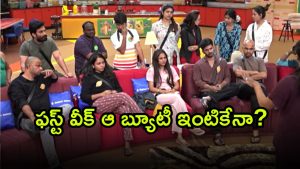 Bigg Boss 9 Telugu ( Image Source: Twitter)