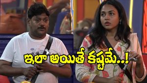 Bigg Boss 9 Telugu