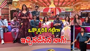 Bigg Boss Promo (Image Source: Youtube Video)