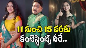 Big Boss 9 Contestants
