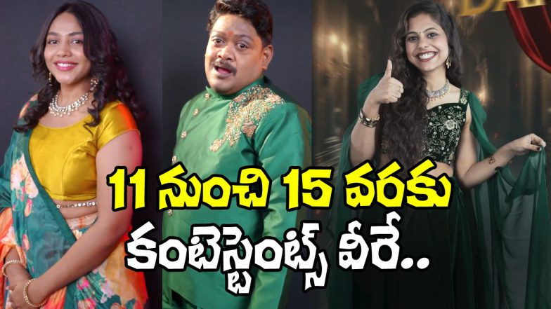 Big Boss 9 Contestants