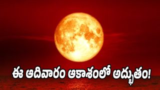 Blood-Moon