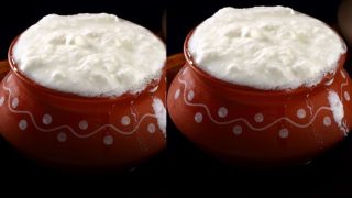 Curd ( Image Source: Twitter)