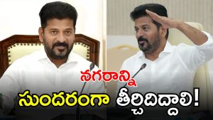 CM Revanth Reddy ( IMAGE credit: swetcha reporter)