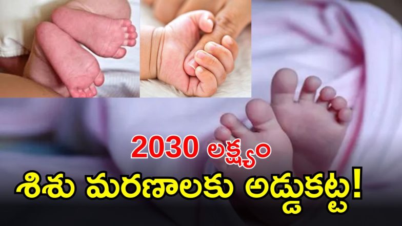 Telangana Govt Plans (IMAGE credit: twitteer)