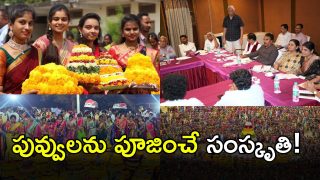 Jupally Krishna Rao ( IMAGE credit: twitter)