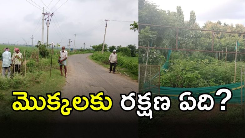 Haritha Haram (IMAGE credit; swetcha reporter)