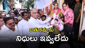 Harish Rao (imagecredit:swetcha)