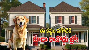 Dog Name Issue: (Image Source: AI)