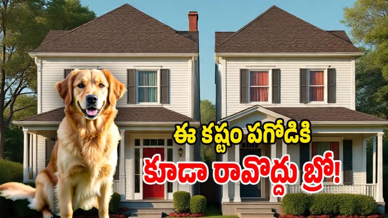 Dog Name Issue: (Image Source: AI)