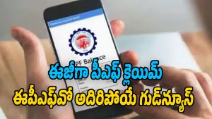 EPFO-Passbook-Lite