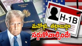 H-1B visa (Image Source: Twitter)